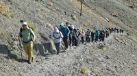 gallery_latest_2